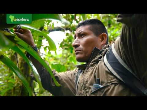 Nicole und Frank - Begeistert von Ecuador