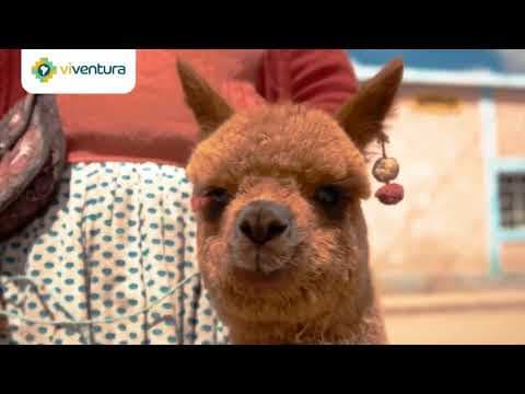 Colca Tal
